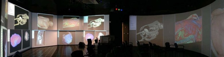 ACES Visualization Lab UT Austin showing 13 projector immersive system.
