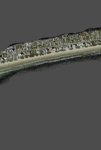 3D South Padre Island LIDAR Section 3 by Reuben Reyes